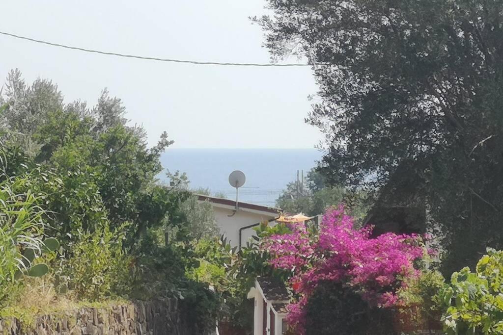 Villa Cilento Mare, Bellissima Con Ampio Giardino Capitello Exterior photo
